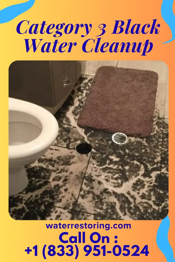 Category 3 Black Water Cleanup in Tilghmanton, MD