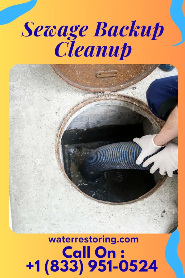 Sewage Backup Cleanup in Tilghmanton, MD
