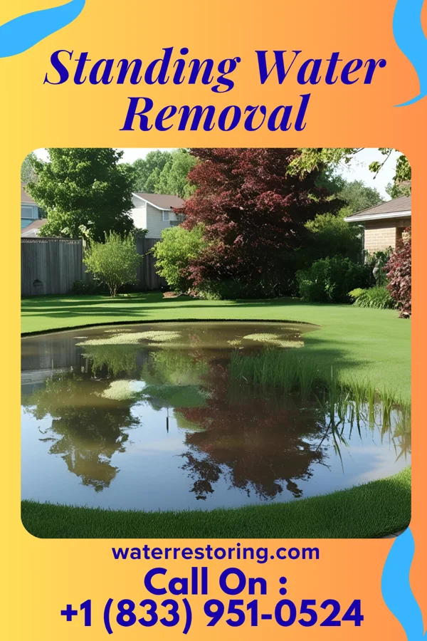 Standing Water Removal in Tilghmanton, MD